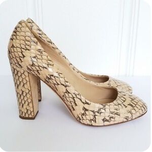 J.Crew Collection Etta Pumps in Snakeskin